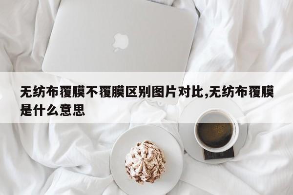 无纺布覆膜不覆膜区别图片对比,无纺布覆膜是什么意思