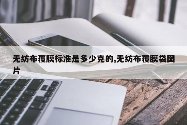 无纺布覆膜标准是多少克的,无纺布覆膜袋图片