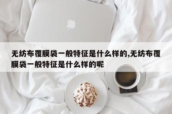 无纺布覆膜袋一般特征是什么样的,无纺布覆膜袋一般特征是什么样的呢