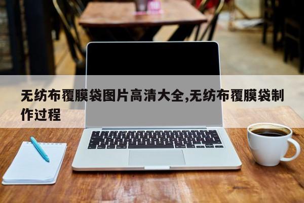 无纺布覆膜袋图片高清大全,无纺布覆膜袋制作过程