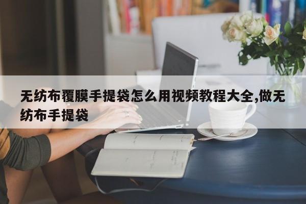 无纺布覆膜手提袋怎么用视频教程大全,做无纺布手提袋