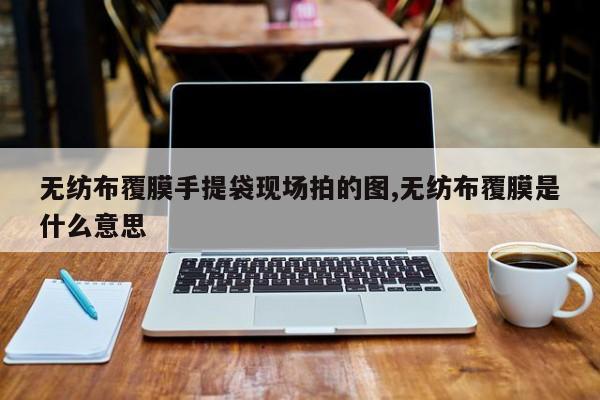 无纺布覆膜手提袋现场拍的图,无纺布覆膜是什么意思